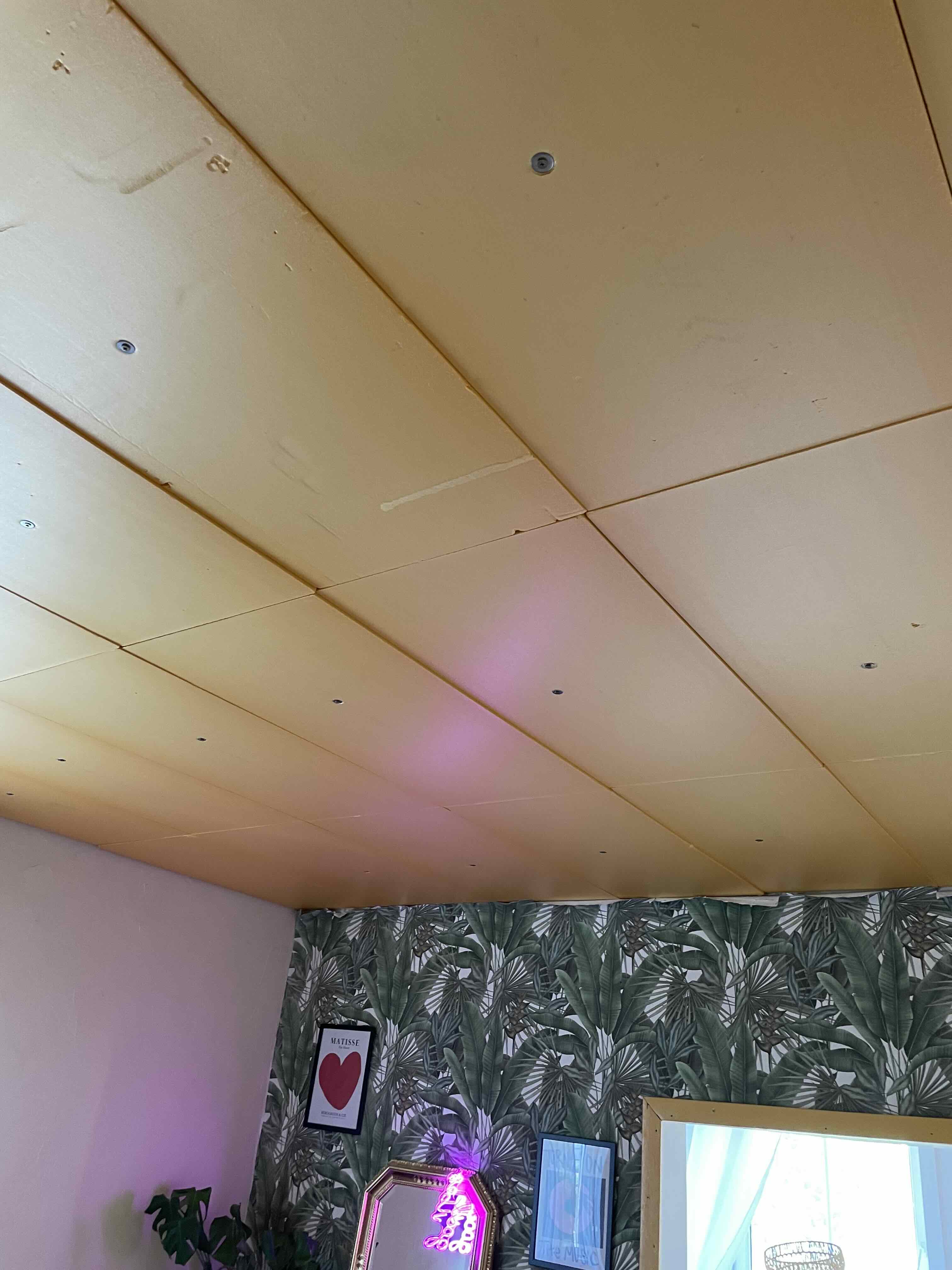 ceiling-insulation.jpg